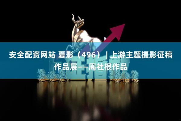安全配资网站 夏影（496） | 上游主题摄影征稿作品展——周社根作品