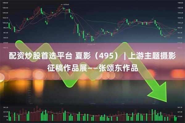 配资炒股首选平台 夏影（495） | 上游主题摄影征稿作品展——张颂东作品